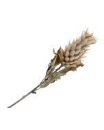 Dry Artificial Pineapple Fruit Spray - Brown/Beige 80cm