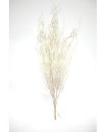 Artificial Stypa Branch - Ivory/White 62cm