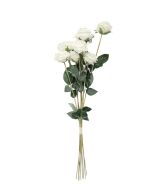 Artificial Dry Rose Bundle - Ivory 72cm