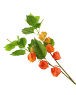 90cm Chinese Lantern Spray Orange