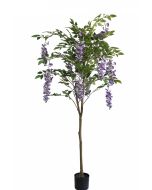 Wisteria Tree U.V F.R - 160cm