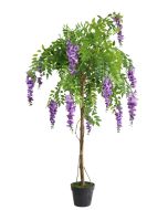 Wisteria Tree U.V F.R - 140cm
