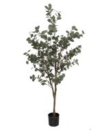 Eucalyptus Tree U.V F.R - 170cm