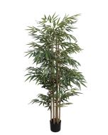 Bamboo Tree U.V F.R - 153cm