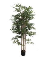 Bamboo Tree U.V F.R - 183cm
