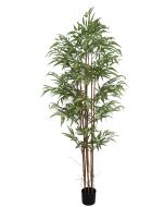 Bamboo Tree U.V F.R - 180cm