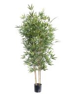 Bamboo Tree U.V F.R - 210cm