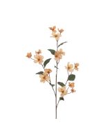 Eco Dogwood Spray 93cm Beige