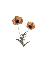 Eco Poppy Spray 69cm Gold