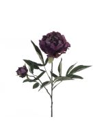 Eco Peony Spray 66cm Plum