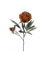 Eco Peony Spray 66cm Gold