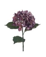 Eco Hydrangea Stem 60cm Plum