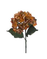Eco Hydrangea Stem 60cm Yellow/Orange