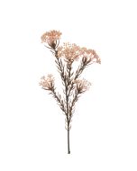 Eco Rice Flower Spray 72cm Beige