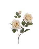Eco Rose Spray 70cm Beige