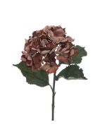 Eco Hydrangea Stem 60cm Brown