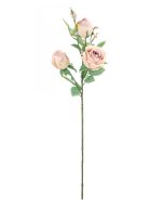 80cm Bisque Rosebud Stem