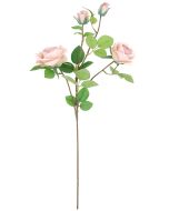 70cm Bisque Rose With 2 Buds Stem