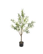 Olive Tree In Pot 120cm
