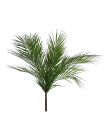 Essential Large Palm Plant 61cm