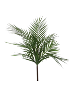 Essential Palm Plant Small 61cm