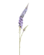 Veronica Spray Blue