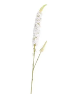 Veronica Spray Cream