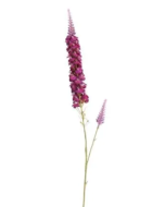 Veronica Spray Lavender
