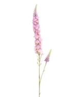 Veronica Spray Pink