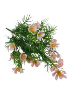 Exterior Cosmos Bush U.V - Pink - 42cm