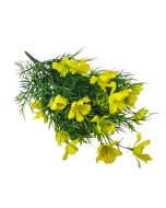 Exterior Cosmos Bush U.V - Yellow - 42cm