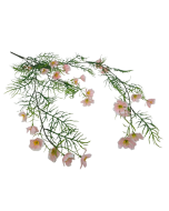 Exterior Cosmos Bush U.V - Pink - 72cm