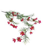 Exterior Cosmos Bush U.V - Red - 72cm