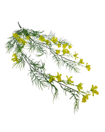 Exterior Cosmos Bush U.V - Yellow - 72cm