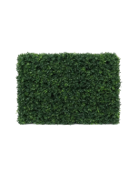 Botanica Hedge U.V - 66cm x 48cm