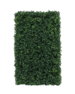 Botanica Hedge U.V - 37cm x 62cm