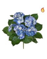 Blue Hydrangea Bush 45cm FR