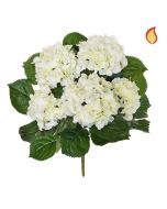Cream Hydrangea Bush 45cm FR