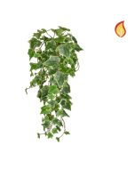55cm Trailing Ivy Variegated FR