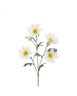 ECO Gazania Daisy Spray 66cm White
