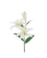 ECO Casablanca Lily Spray 88cm White