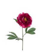 ECO Peony Stem 80cm Beauty
