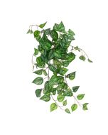 ECO Devils Ivy Bush Trail UV Protected 71cm