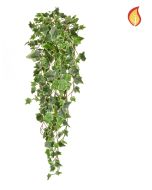 Ivy Trailing 86cm Variegated FR