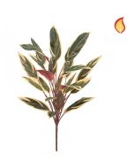 Caladium Bush 65cm FR