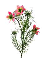 Artificial Nigella Spray 69cm Pink