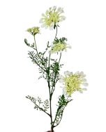 Artificial Queen Annes Lace 96cm Cream