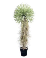UV Protected Real Touch Dracaena Ball Tree 175cm