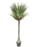 Artificial Single Yucca 180cm