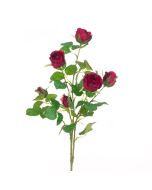 Juliet Rose Spray 70cm Burgundy